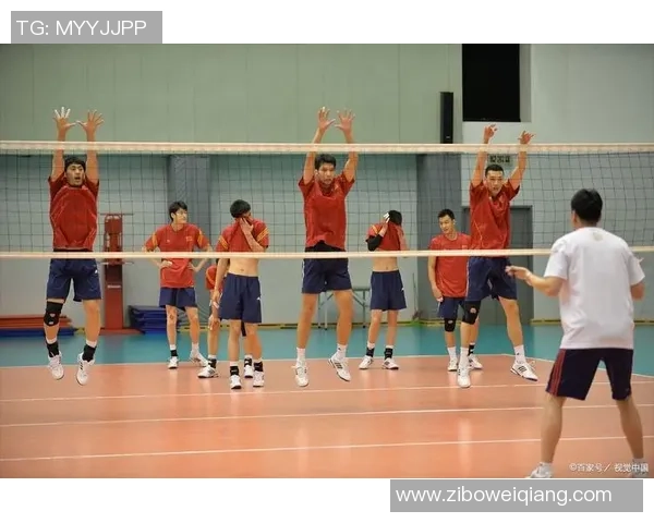 北京排球队在世界锦标赛中的团队协作表现分析与点评