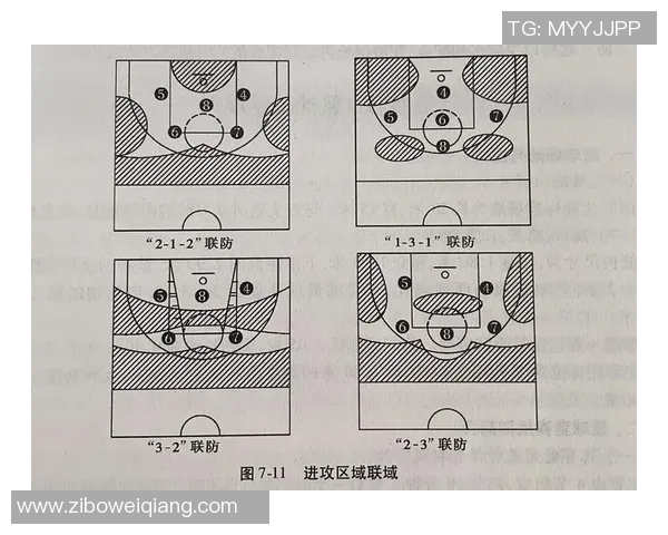 南京篮球队战术深度解析与对比分析揭示球队优势与不足
