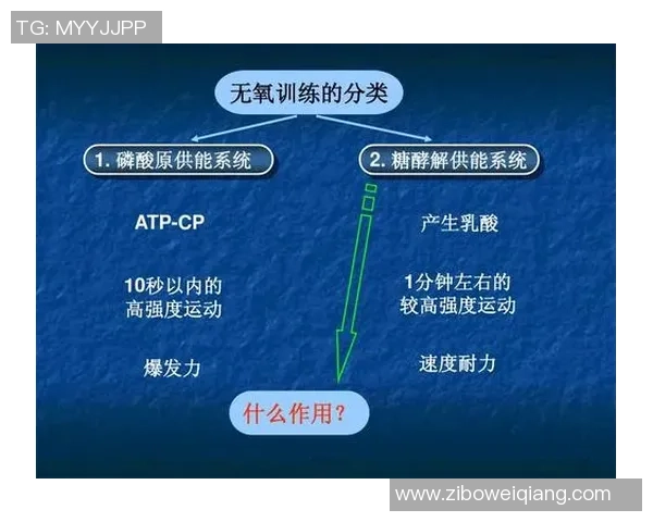 成都羽毛球队战术深度解析与训练策略探讨