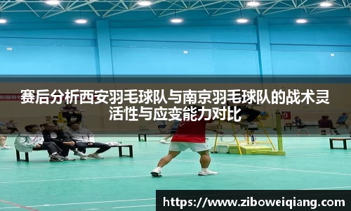 赛后分析西安羽毛球队与南京羽毛球队的战术灵活性与应变能力对比